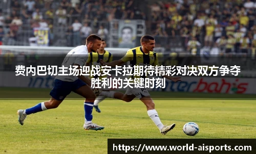费内巴切主场迎战安卡拉期待精彩对决双方争夺胜利的关键时刻